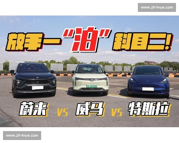 深度解析vs1跟vs性能差异与应用场景全面对比研究分析报告总 深度解析vs1跟vs性能差异与应用场景全面对比研究分析报告总